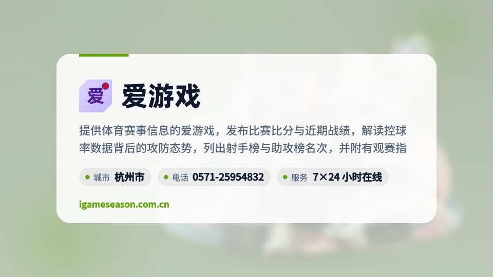 爱游戏概况